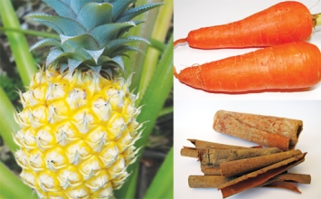 Thực phẩm làm sạch cơ thể